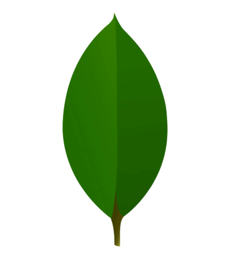 MongoDB